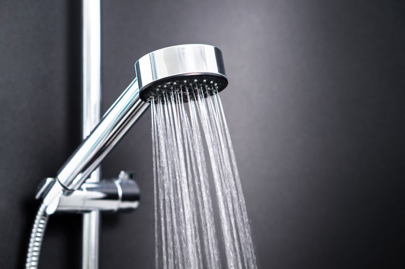 Spa-Style Shower Head